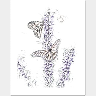 Butterfies on Lavender Posters and Art